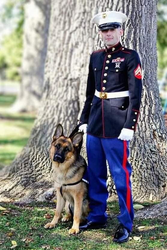 Kenny Bass in Marine Corps dress blues standing beside Atlas, a German Shepherd, outdoors near a large tree.