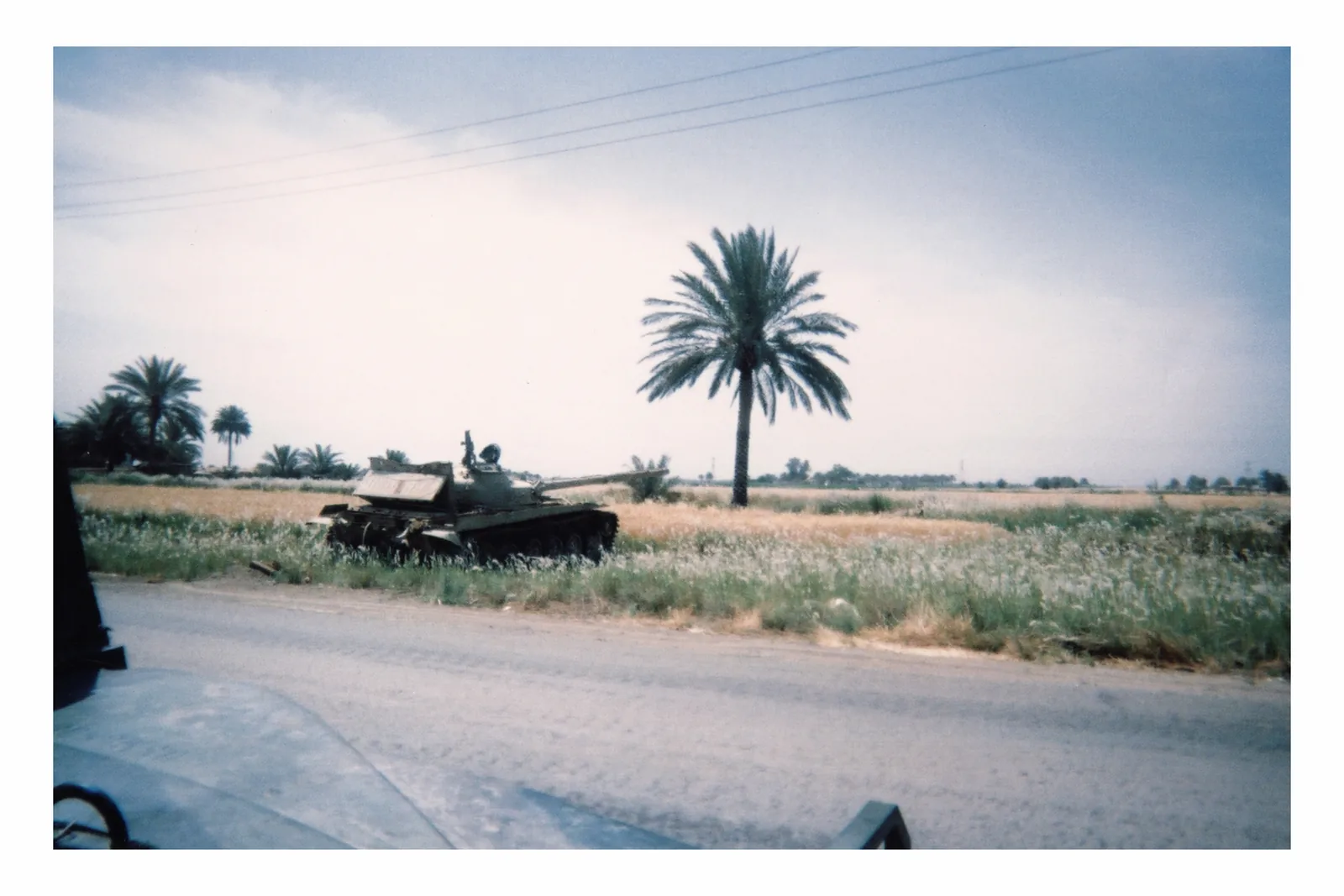 A low tank stands in tall grass left of center, its barrel pointing right. A single palm rises to its right. A road crosses the foreground; nearby vehicle edges intrude at the left and bottom.