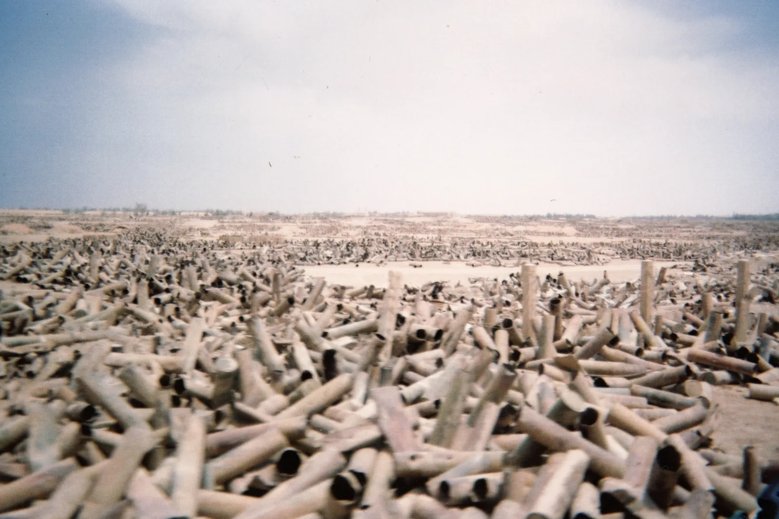 Thousands of long, empty artillery propellant cases cover the ground and recede toward a low horizon. Dark open case mouths punctuate the pile beneath a broad pale sky.