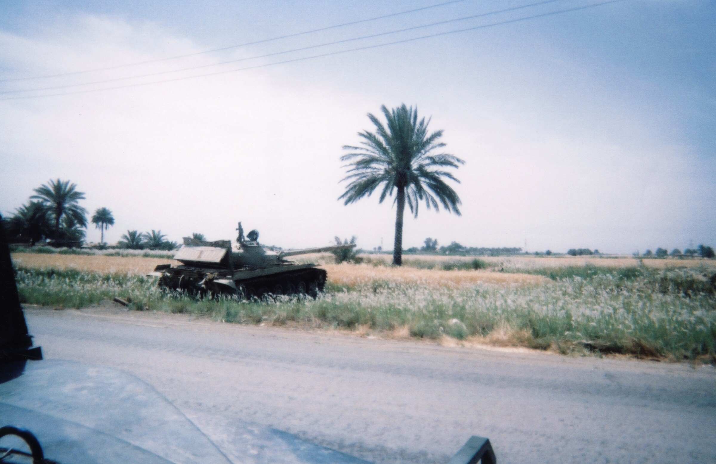 An abandoned tank sitting in a field of grass and wildflowers beside a roadway, with a single tall palm tree behind it under a pale sky.