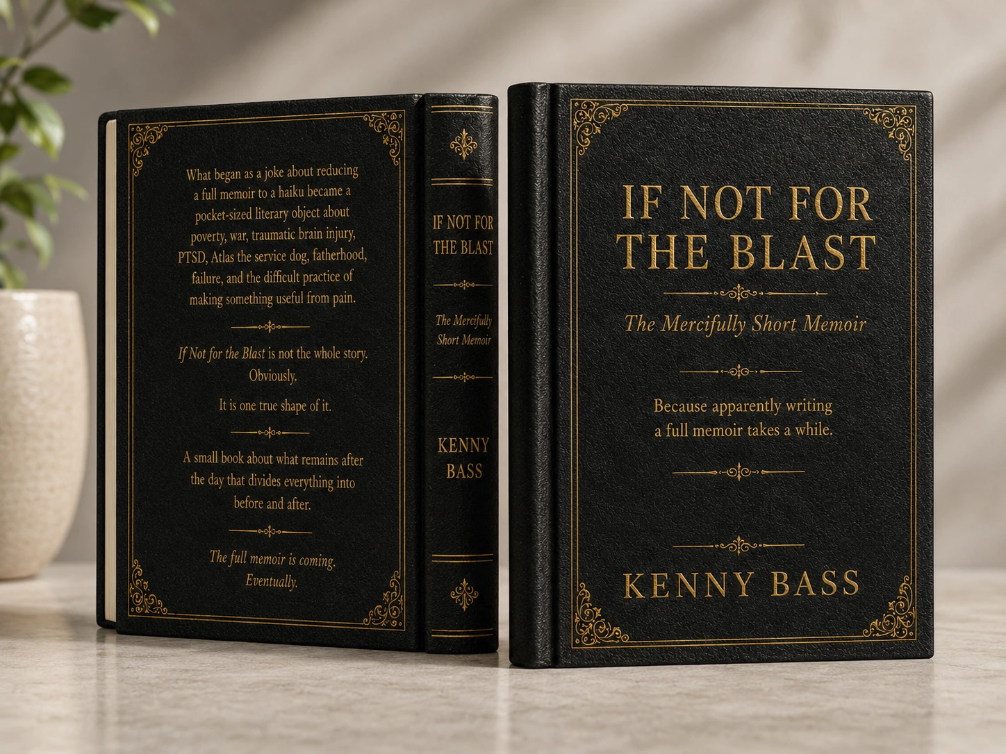 Approved book mockup showing the finalized front cover, spine, and back cover of If Not for the Blast.